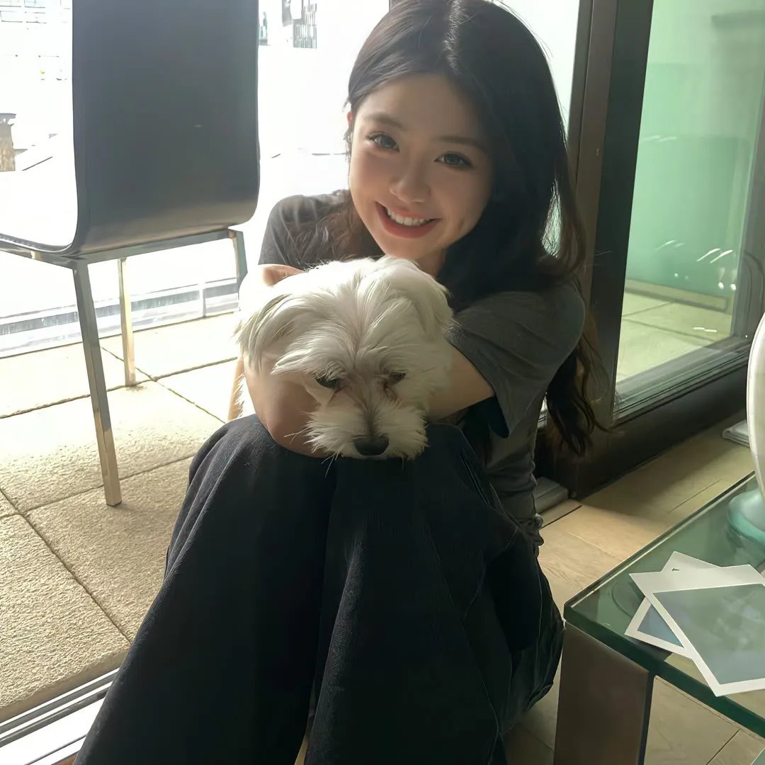 监狱犬计划