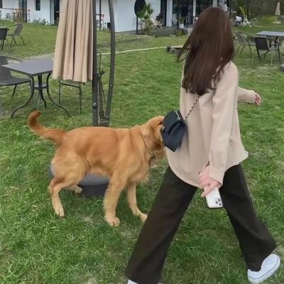 幸福与分数无关